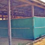 Side view of the school